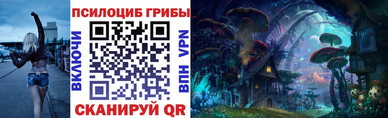 Псилоцибиновые грибы прущие грибы  Купить закладки  Алушта 